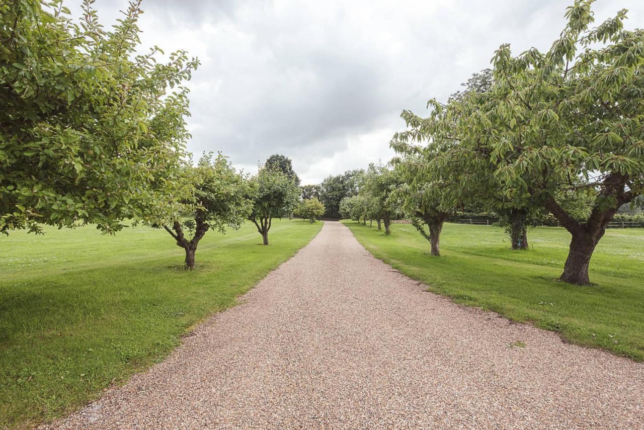 Grove Farm Bungalow With Swimming Pool, Dallinghoo Woodbridge Bagian luar foto