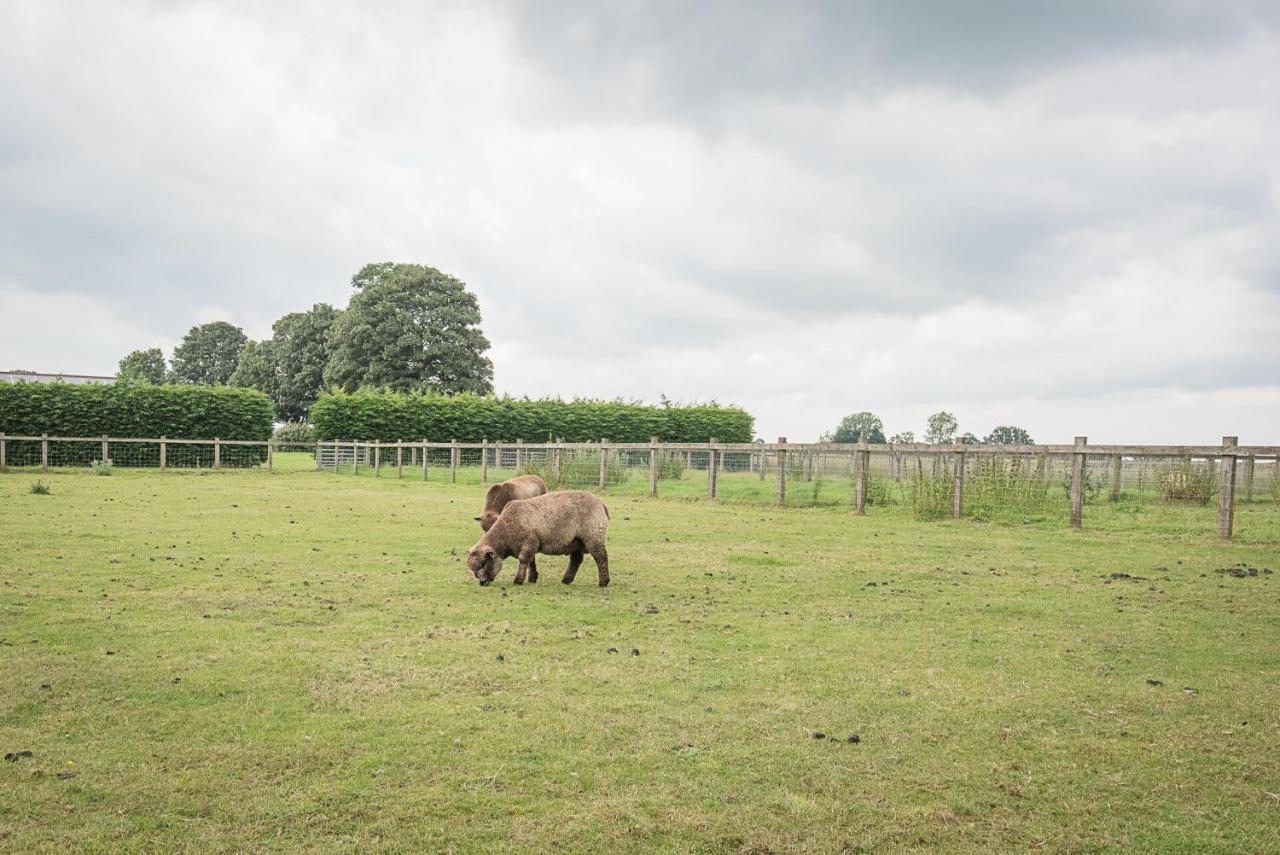 Grove Farm Bungalow With Swimming Pool, Dallinghoo Woodbridge Bagian luar foto