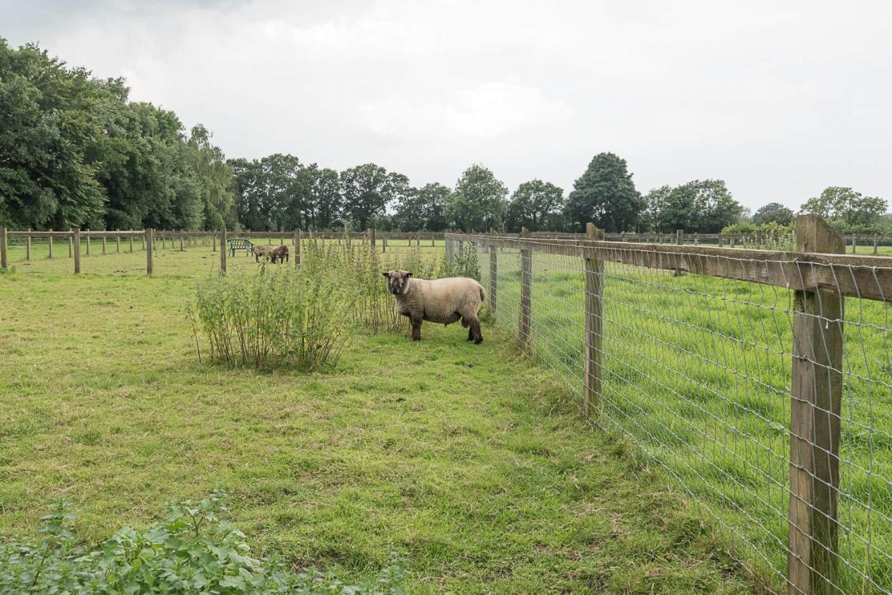 Grove Farm Bungalow With Swimming Pool, Dallinghoo Woodbridge Bagian luar foto